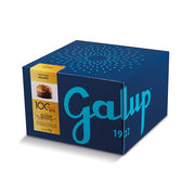 PANETTONE GALUP IL MILANO 750GR