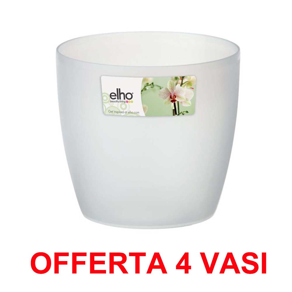 OFFERTA 4 VASO ORCHIDEE BRUSSELS ORCHID 12,5CM TRANSPARENT