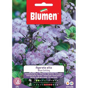 SEMI AGERATO ALTO BLUMEN