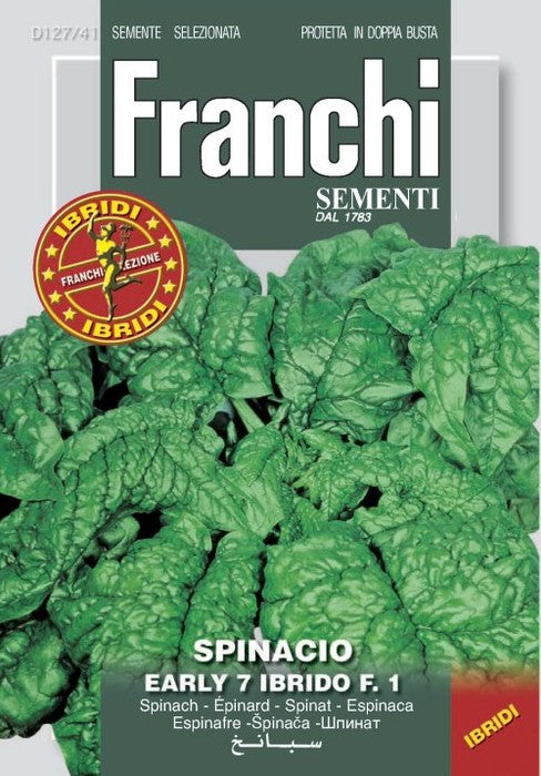 BUSTINA SEMI DI SPINACIO EARLY N.7 IBRIDO F.1