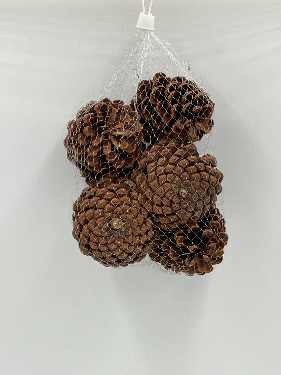 PIGNE ASSORTITE 200-250GR