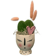 COMPOSIZIONE VASO IN CERAMICA 9CM CON HOYA KERRII FIORE DI CERA