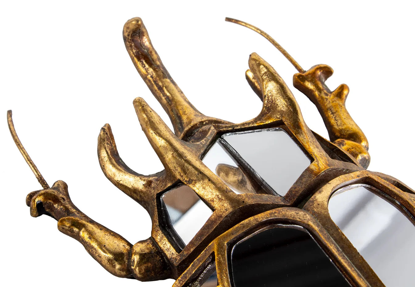 DECORAZIONE DA PARETE BEETLE MIRROR 25X39 CM