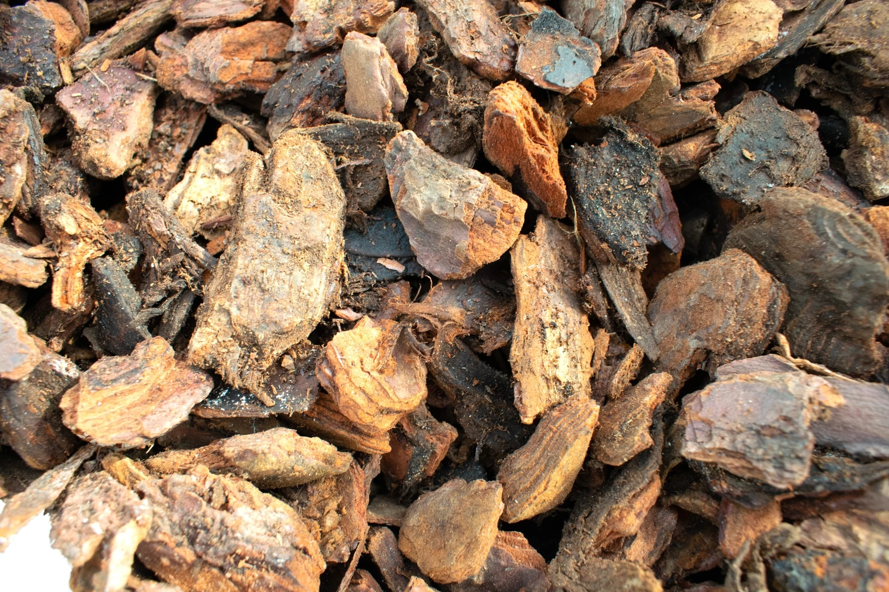 CORTECCIA (BARK) PER ORCHIDEE 3L SYBOTANICA