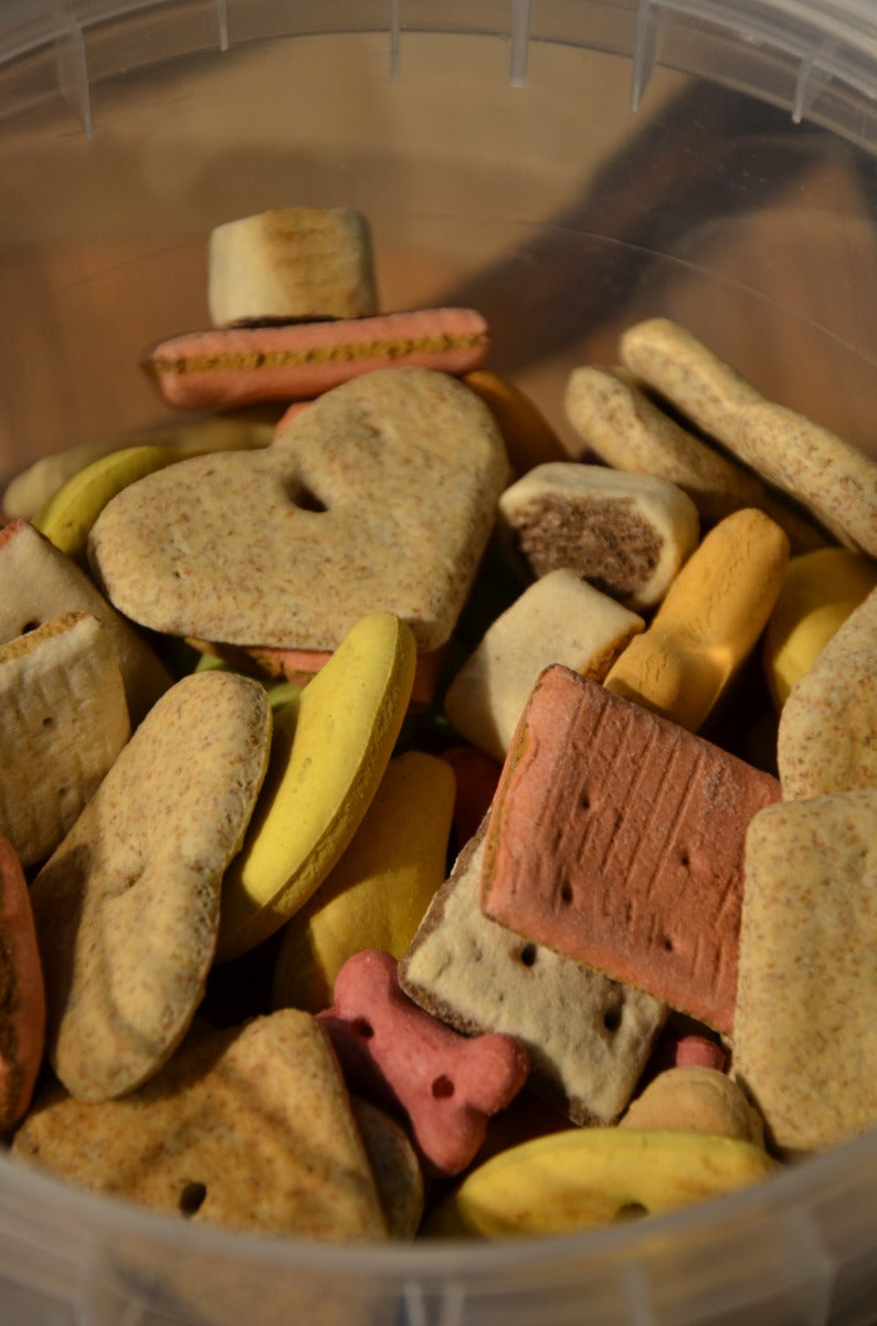 BISCOTTI IN MIX DI ALTA QUALITA' PER CANI SECCHIELLO DA 1KG