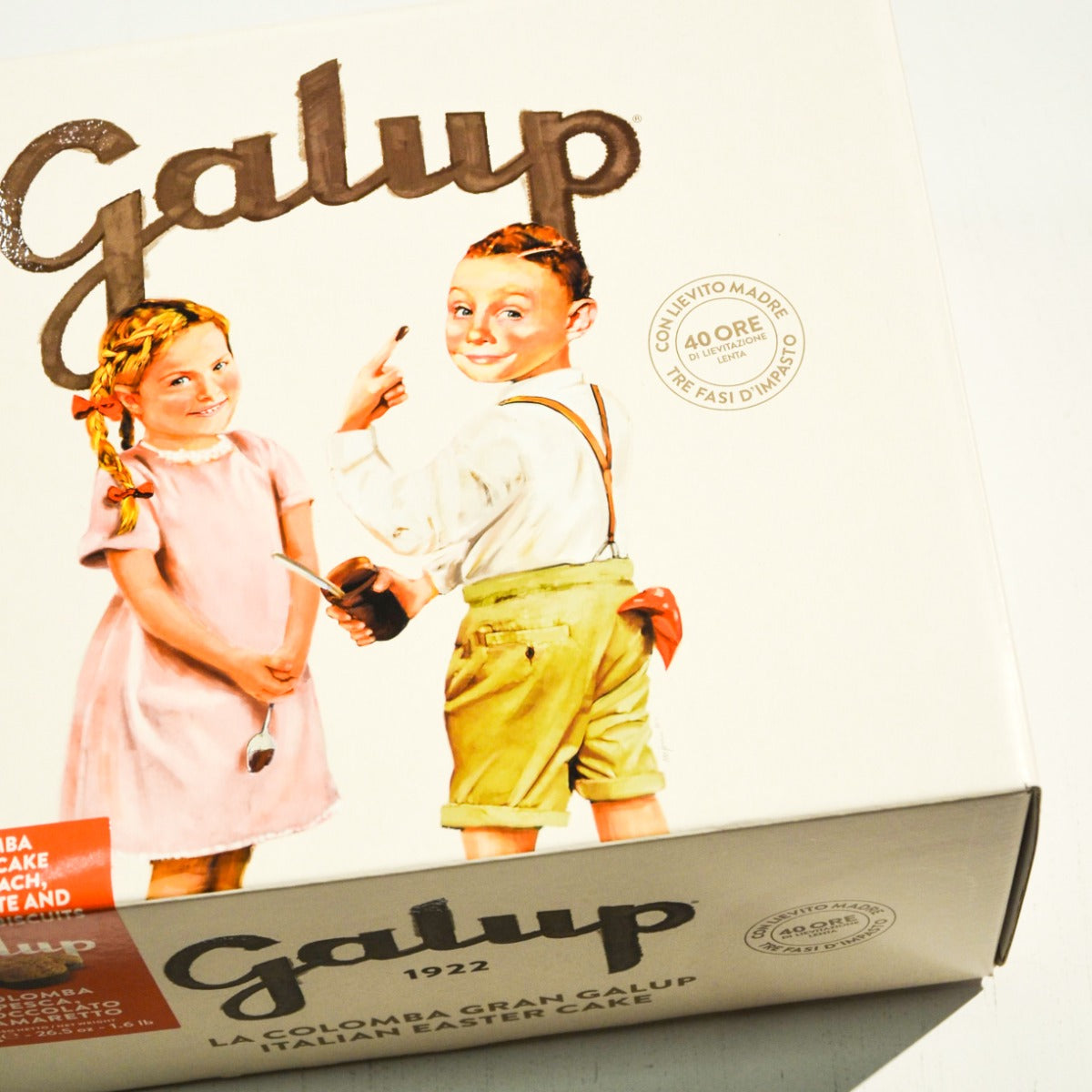 COLOMBA GRAN GALUP AMARETTO, CIOCCOLATO E PESCA 750GR