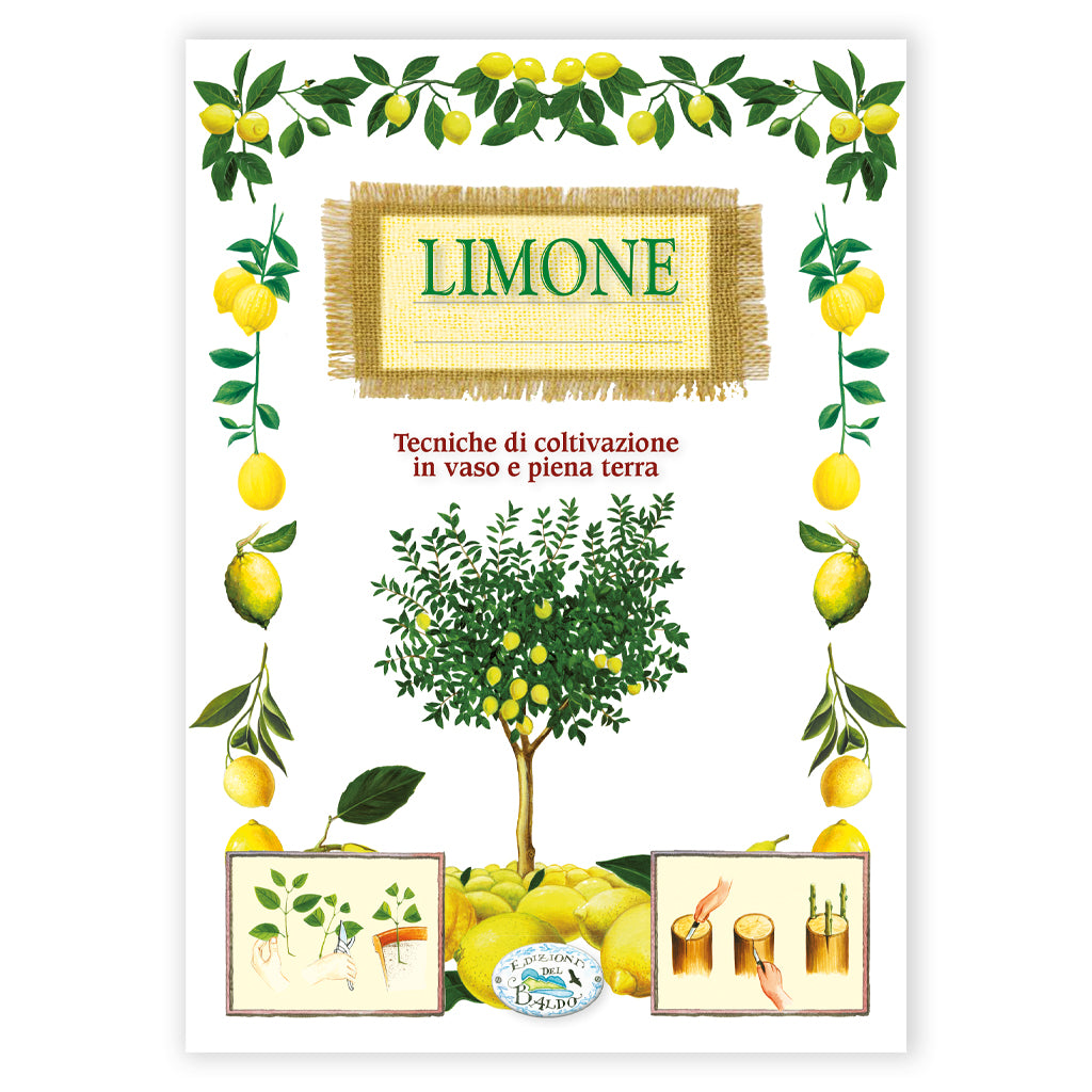 LIBRO TECNICHE DI COLTIVAZIONE IN VASO E PIENA TERRA LIMONE