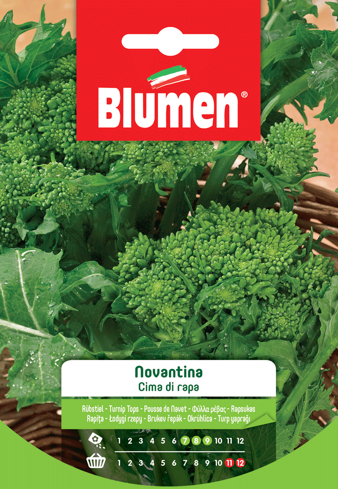 SEMI DI CIMA DI RAPA NOVANTINA