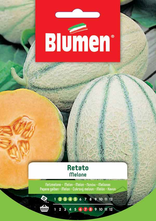 SEMI DI MELONE RETATO