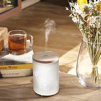 RICARICA PER DIFFUSORE ELETTRICO POUSSIÈRE D'AMBRE 475 ML LAMPE BERGER