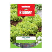 SEMI LATTUGA LOLLO BIONDA BLUMEN