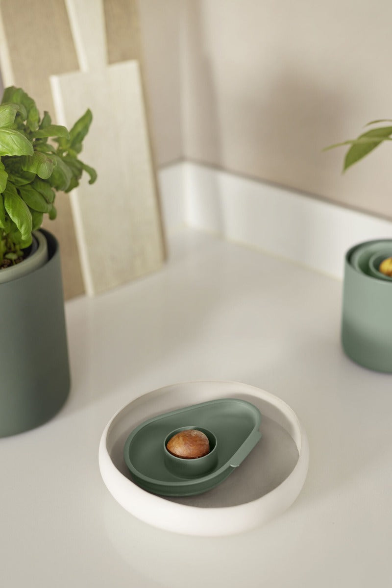 VASO PER SEME DI AVOCADO AMAZING AVOCADO FLOATER LEAF GREEN