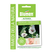 SEMI ALTHEA BLUMEN