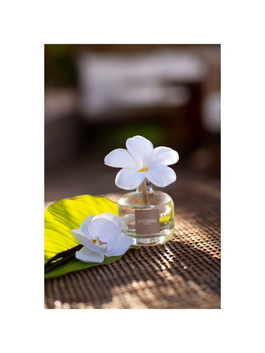 DIFFUSORE FIORE PROFUMATO 75ML MONOI SOLEIL