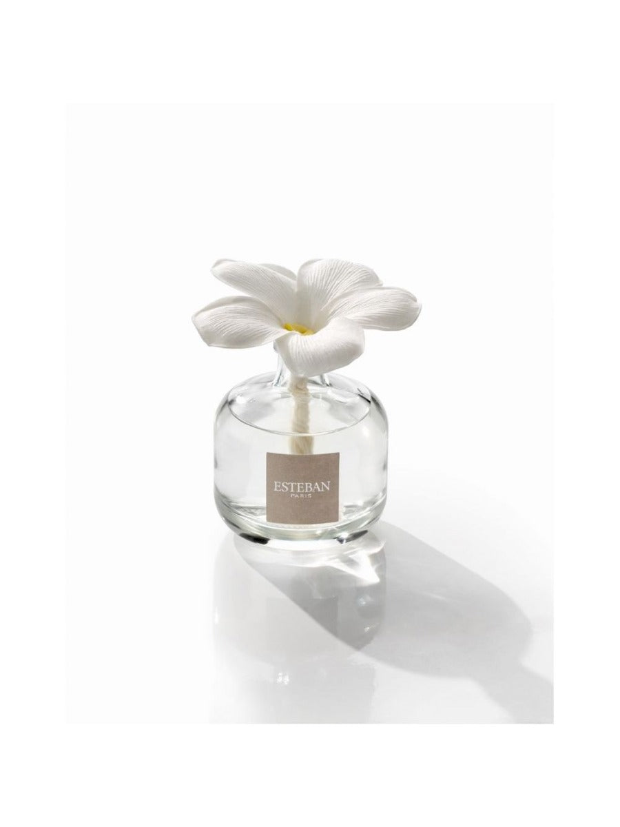 DIFFUSORE FIORE PROFUMATO 75ML MONOI SOLEIL