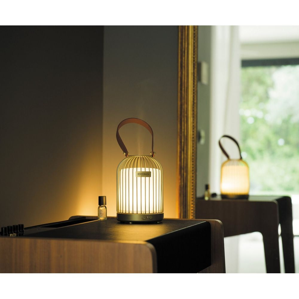 DIFFUSORE NEBBIA DI PROFUMO EDIZIONE LAMPION