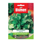SEMI VALERIANA DOLCE CAMBRAY BLUMEN