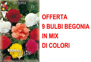 OFFERTA 9 BULBI BEGONIA DOUBLE MIX