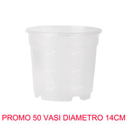 50 VASI PER ORCHIDEE Ø14CM TRASPARENTI