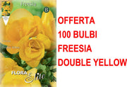 OFFERTA 100 BULBI FREESIA DOUBLE YELLOW