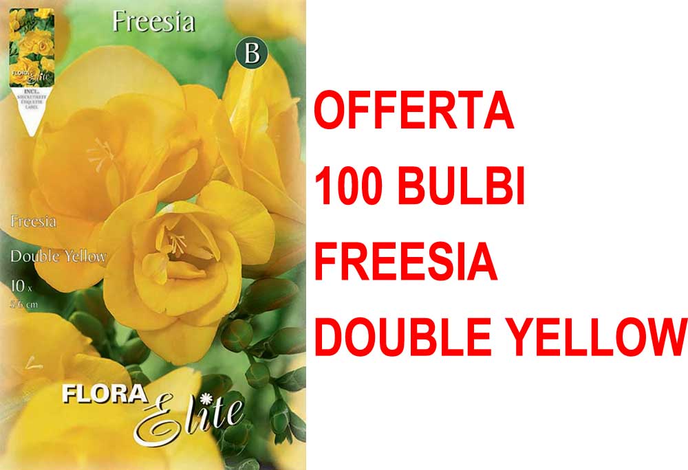 OFFERTA 100 BULBI FREESIA DOUBLE YELLOW