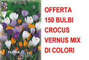 OFFERTA 150 BULBI CROCUS VERNUS MIX