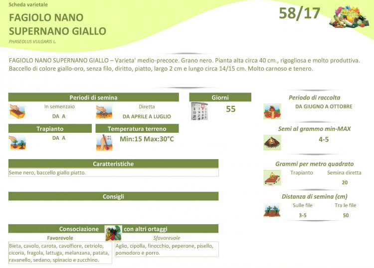 BUSTA SEMI DI FAGIOLO SUPERNANO GIALLO 100 GR