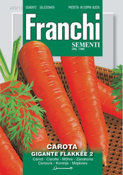 BUSTINA SEMI DI CAROTA GIGANTE FLAKKEE' N.2