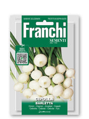 SEMI DI CIPOLLA BLANCA BARLETTA