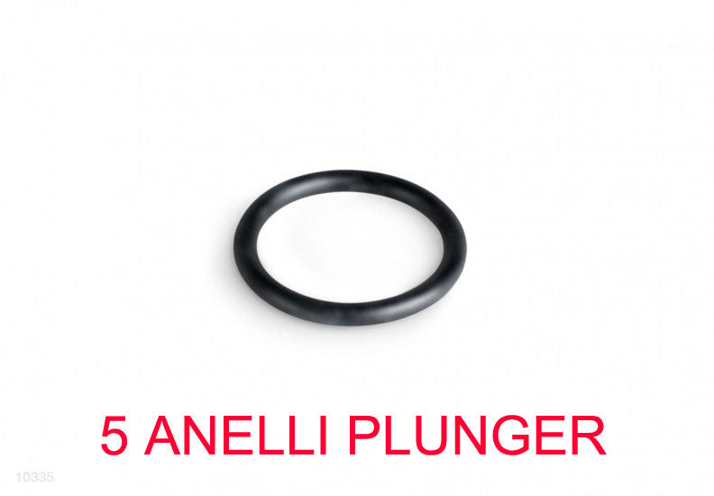 5 ANELLI PER VALVOLA PLUNGER 10335