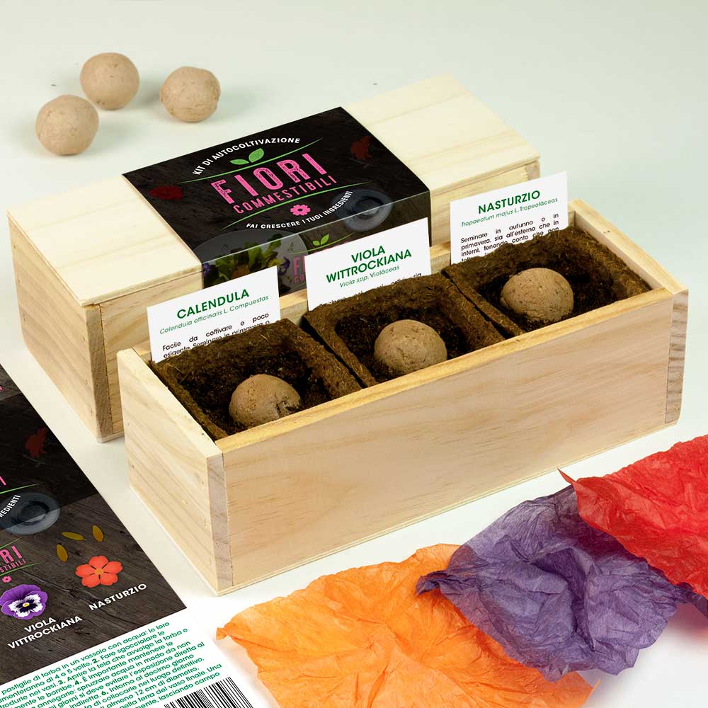 KIT DI AUTOCOLTIVAZIONI FIORI COMMESTIBILI (CALENDULA, VIOLA VITTROCKIANA E NASTURZIO)