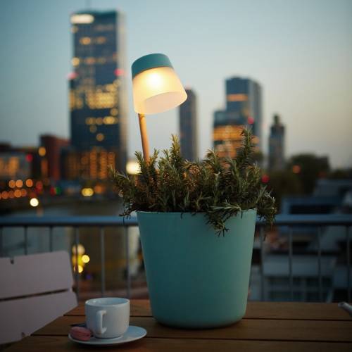 VASO CON LAMPADA SOLARE FLOWER LIGHT COLORE A SCELTA
