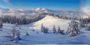 SFONDO POSTER FORESTA INVERNALE 150X75CM