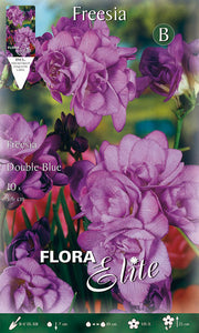 FREESIA DOUBLE BLUE (CONFEZIONE DA 10 BULBI)