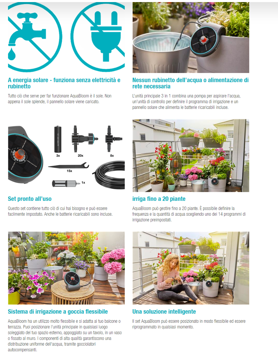 SET AQUABLOOM