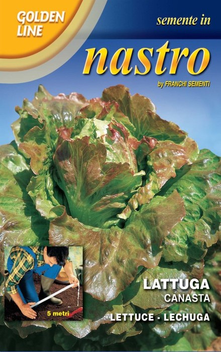 BUSTINA NASTRO SEMI DI LATTUGA CANASTA