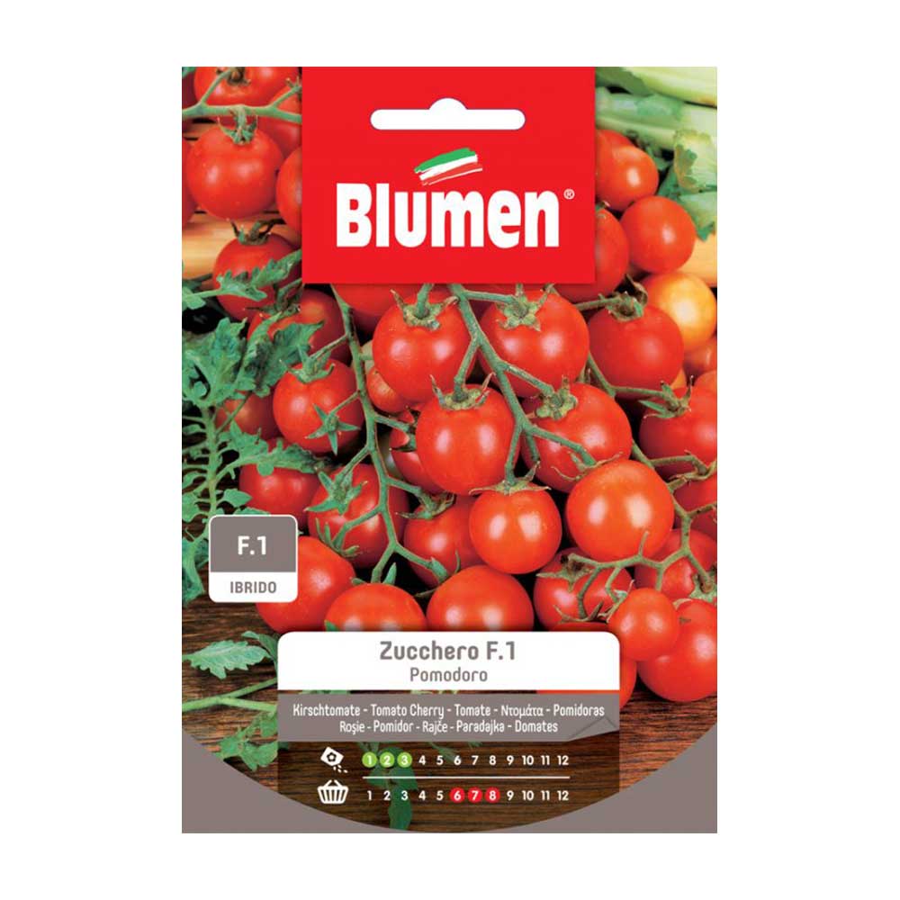 SEMI POMODORO ZUCCHERO F1 BLUMEN