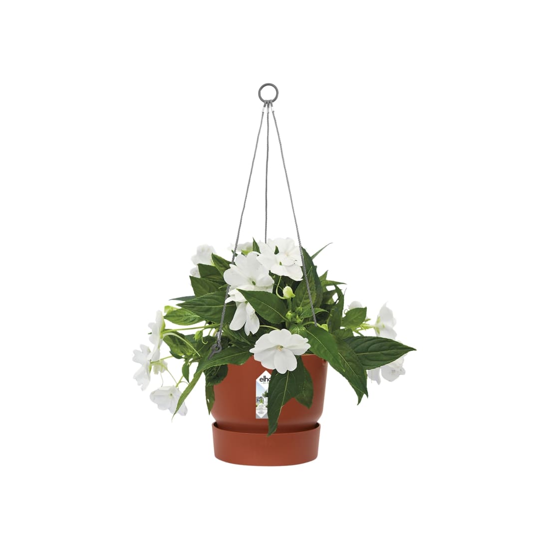 VASO GREENVILLE  HANGING BASKET 24CM COLORE A SCELTA