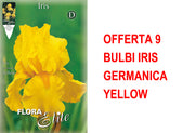 OFFERTA 9 BULBI IRIS GERMANICA YELLOW