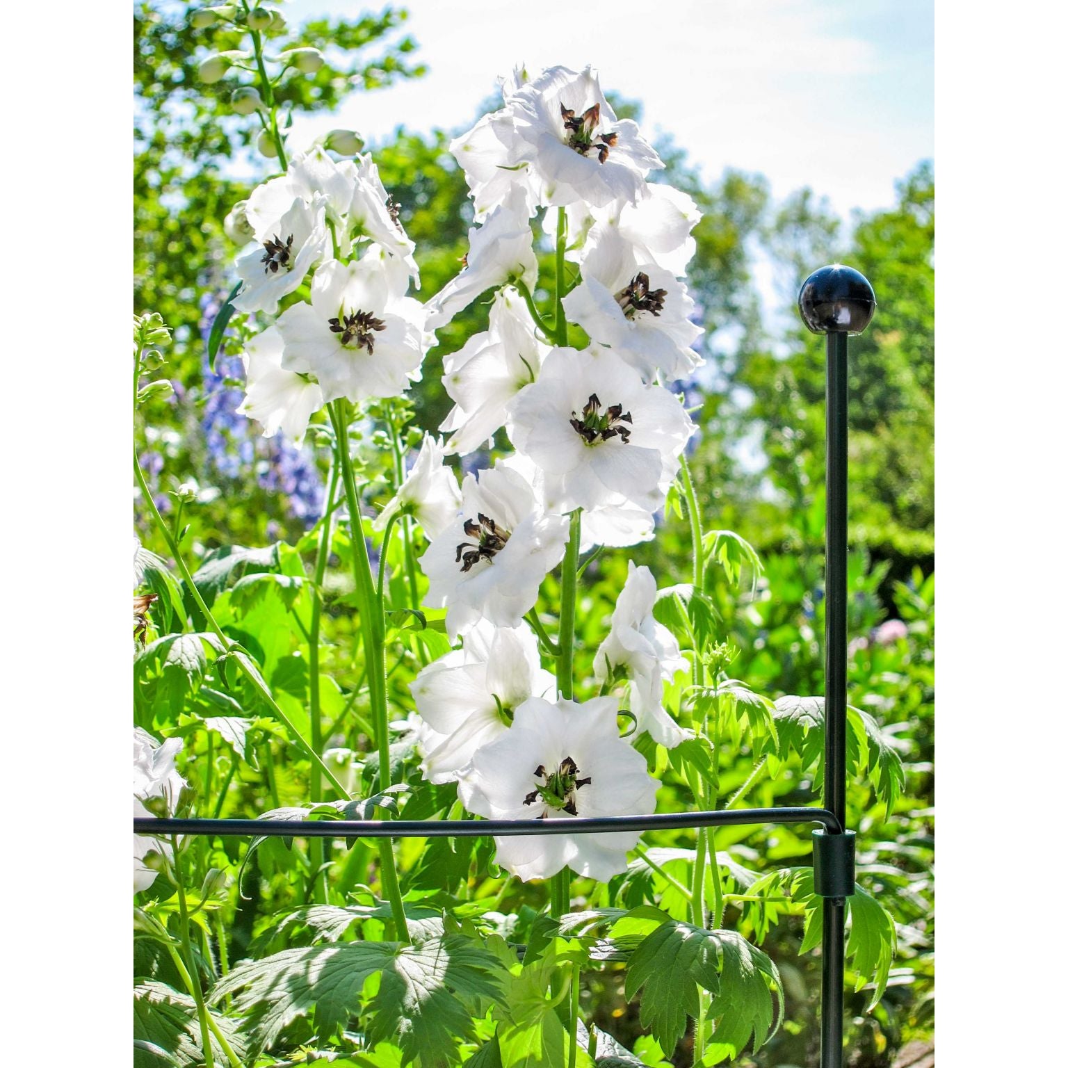 PERNO STANDARD PER SOSTEGNO PIANTE DA 7 MM-75 CM