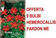 OFFERTA 9 BULBI DI HEMEROCALLIS PARDON ME