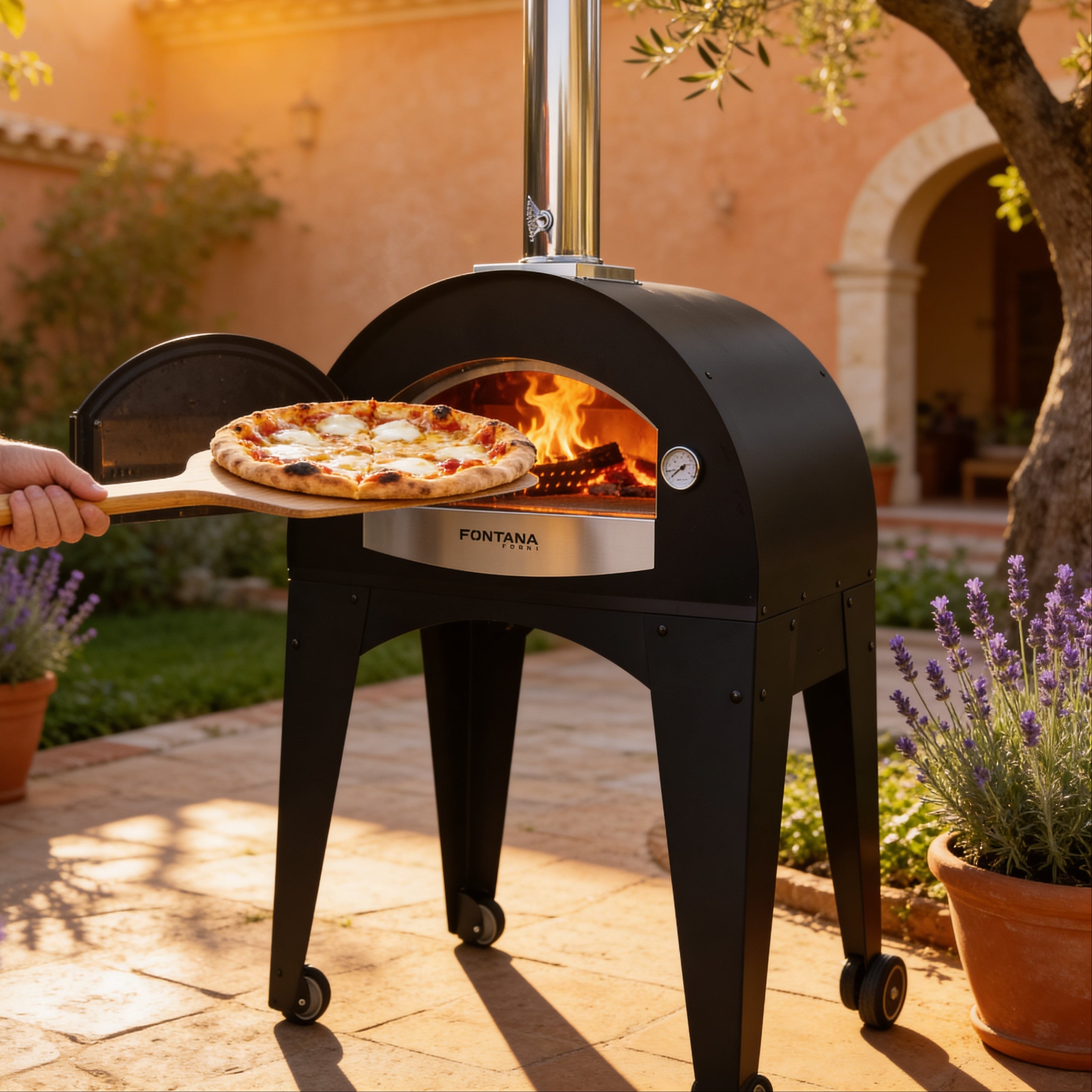 ISCHIA BACKOFEN 60X40