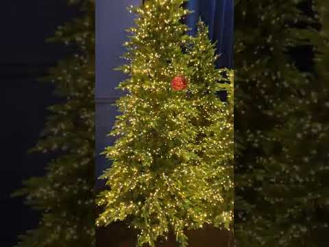 ALBERO DI NATALE LUXURY 240CM PREILLUMINATO CON 4000 MINILED MANCANO RAMETTI