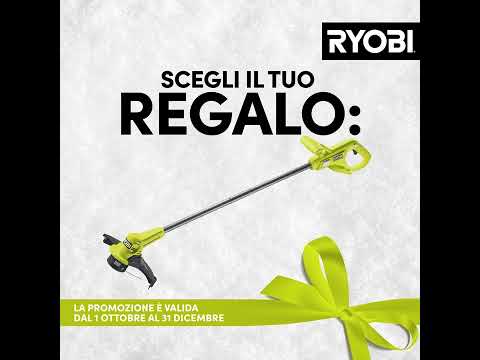 TRAPANO AVVITATORE A PERCUSSIONE 18V (1X 4.0AH) + SET ACCESSORI