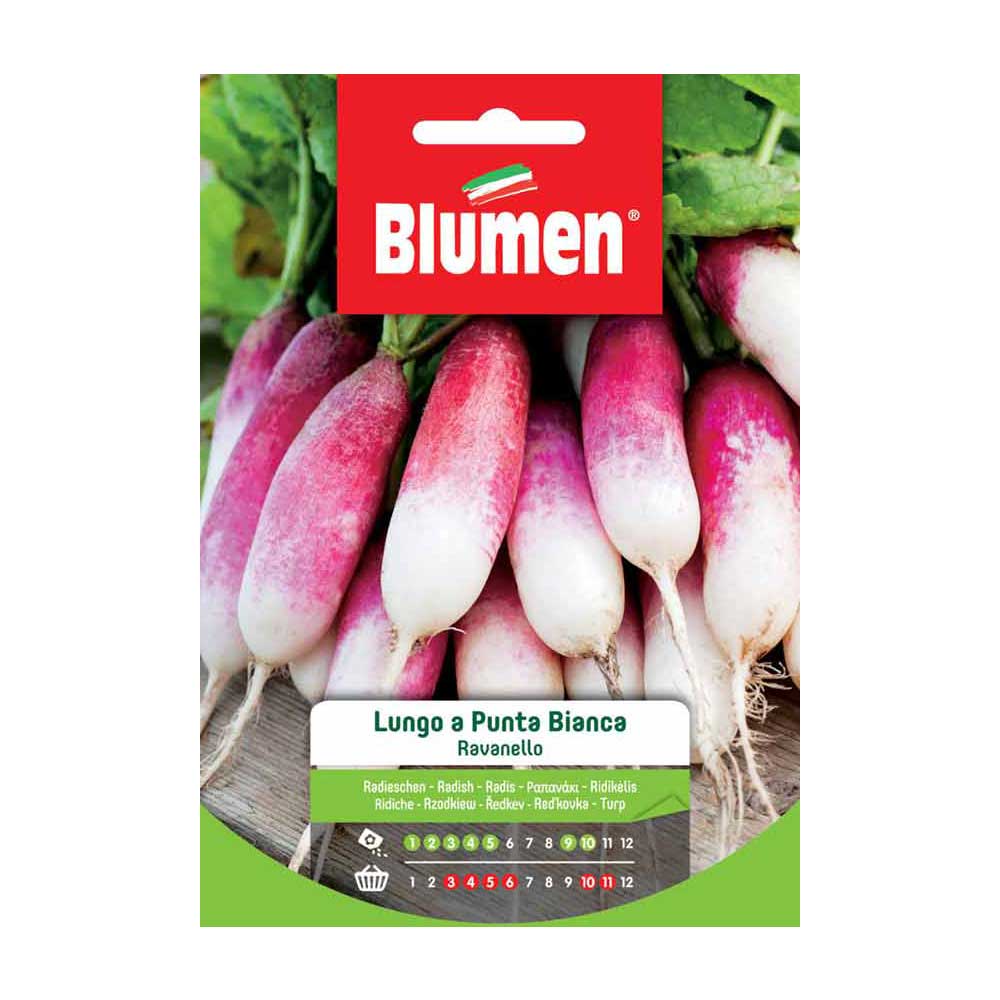 SEMI DI RAVANELLO LUNGO PUNTA BIANCA BLUMEN