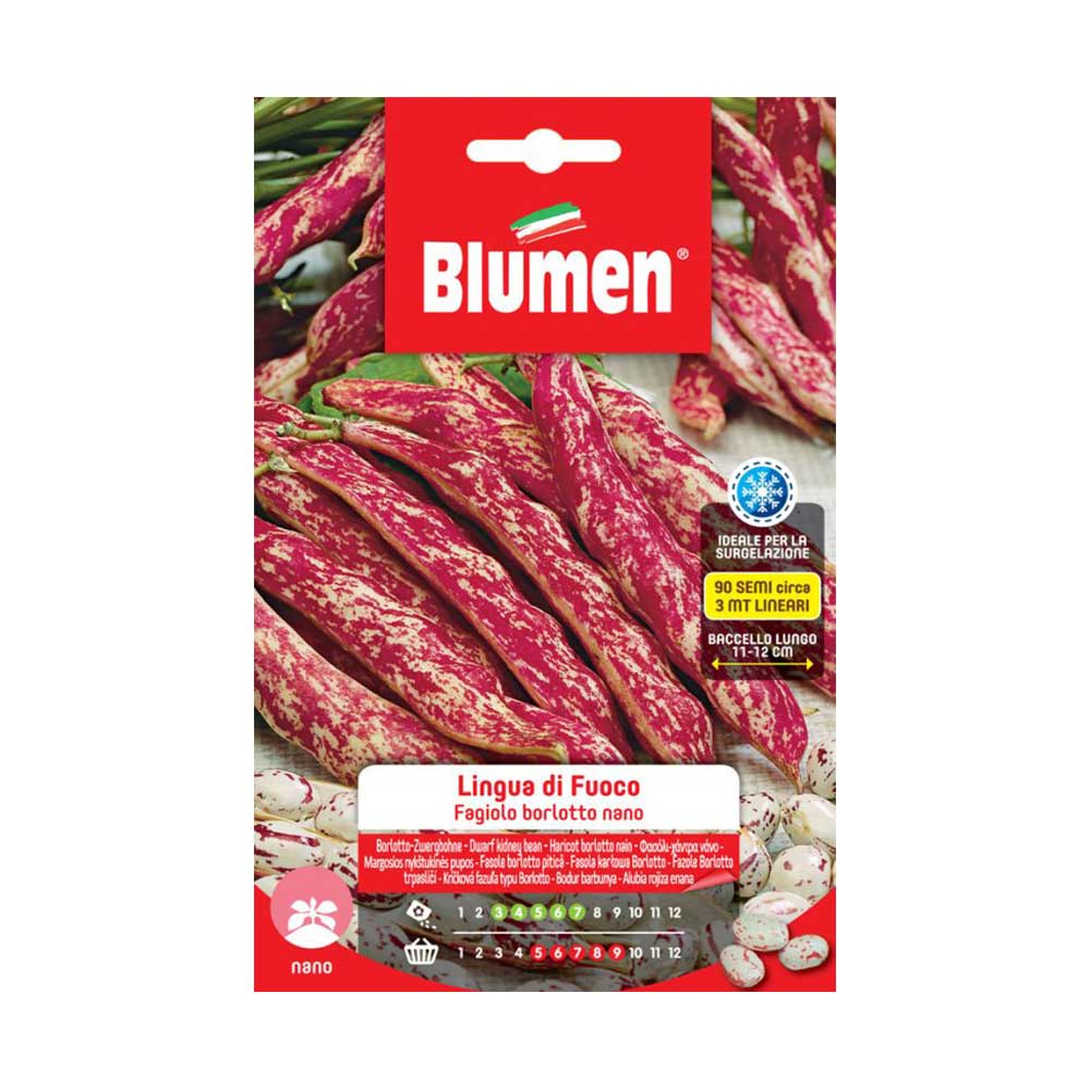 SEMI FAGIOLI BORLOTTI NANI LINGUA DI FUOCO BLUMEN