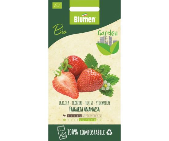 SEMI DI FRAGOLA BIO