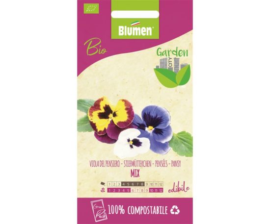 SEMI VIOLA DEL PENSIERO BIO