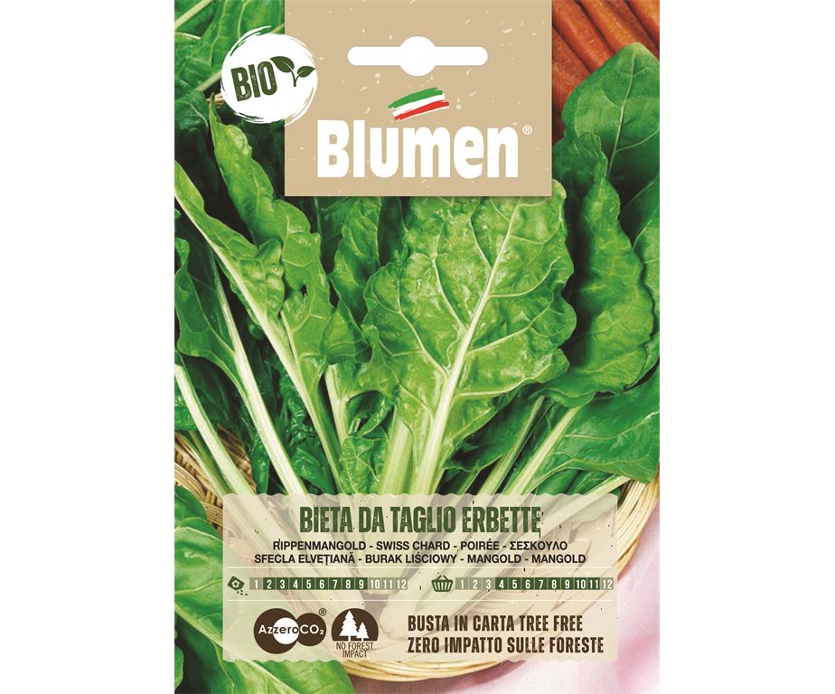 SEMI BIO BIETA DA TAGLIO ERBETTE