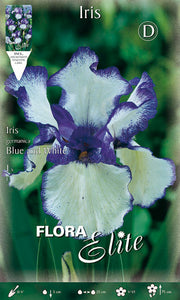 IRIS GERMANICA BLEU ET BLANC (PAQUET DE 1 BULBE)